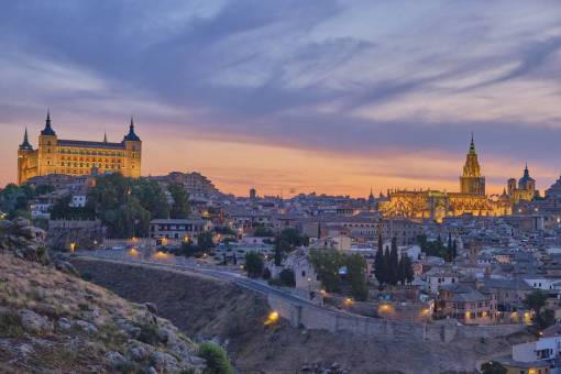 cat Cityscape of Toledo Spain