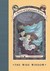 The Wide Window (A Series of Unfortunate Events, #3) by Lemony Snicket