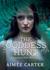 The Goddess Hunt (Goddess Test, #1.5) by Aimee Carter