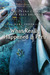 What Really Happened in Peru (The Bane Chronicles, #1) by Cassandra Clare