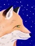 The_Bookfox_