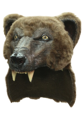 Bear Helmet