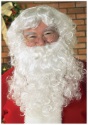 Santa Wig and Beard