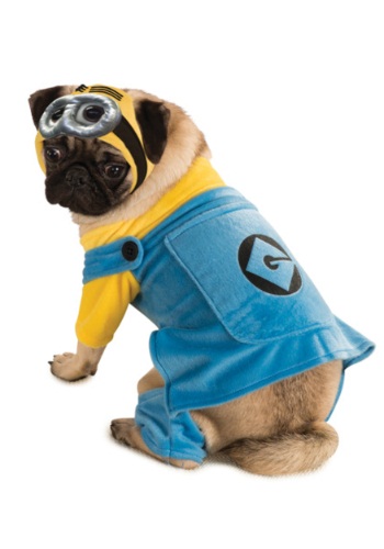 Minion Pet Costume