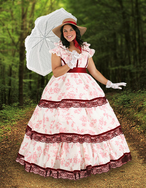 Plus Size Southern Belle Costume