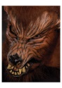 Howl O Ween Werewolf Mask