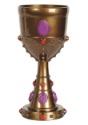 Plastic Jeweled King Goblet