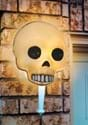 Skull Porch Light Cover