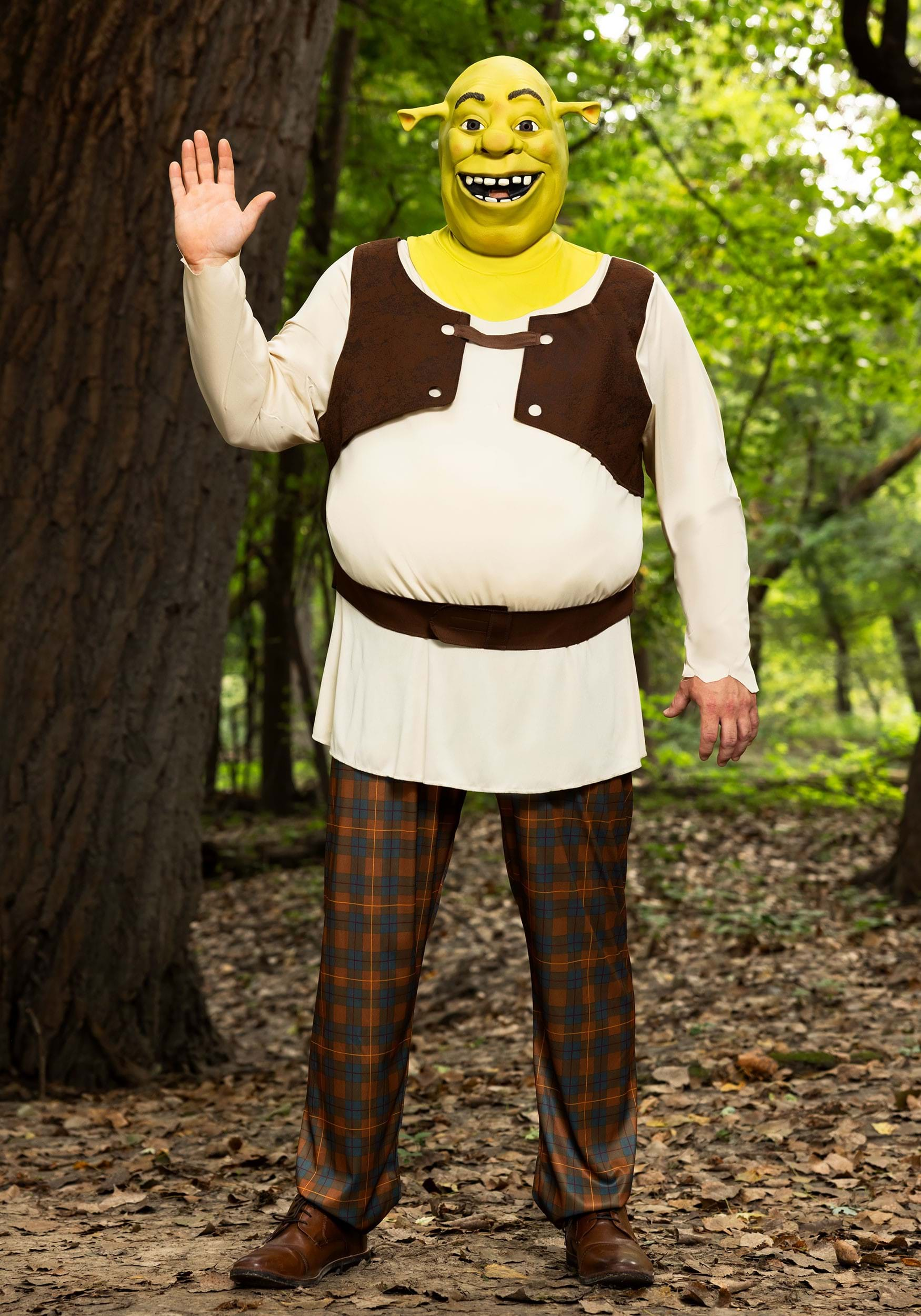 Shrek Costumes