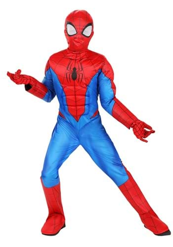 Boys Spider Man Costume--2