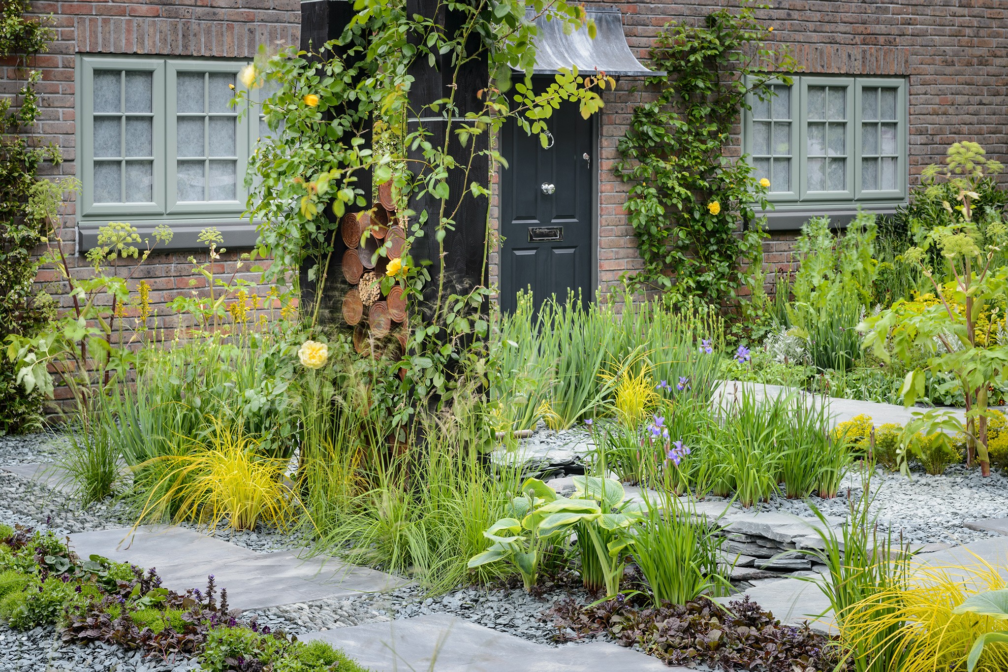 Front garden planted with irises and hostas