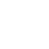 Ospreys