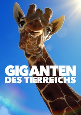 Giganten des Tierreichs