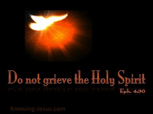 Ephesians 4:30 Do Not Grieve The Spirit (black)