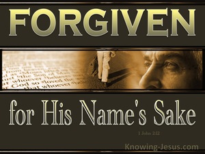 1 John 2:12 His Name's Sake 1 (devotional)09:06 (brown)