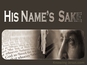 1 John 2:12 His Name's Sake (devotional)09:06 (beige)