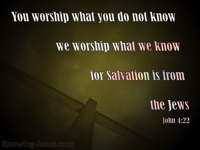 John 4:22 Salvation Is From The Jews (brown)