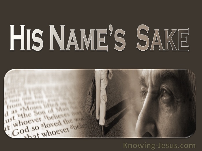 1 John 2:12 His Name's Sake (devotional)09:06 (beige)