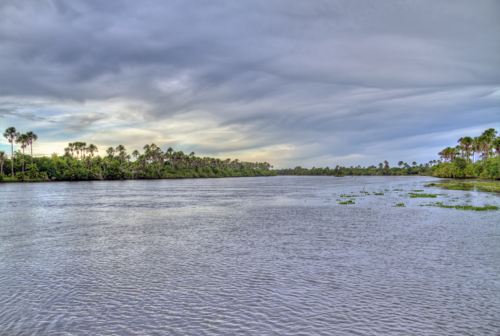 Amazon River Image