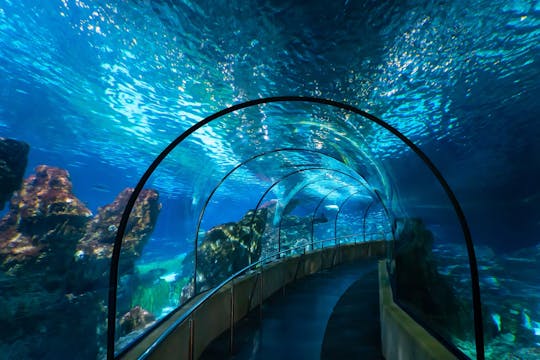 Barcelona Aquarium skip-the-line tickets