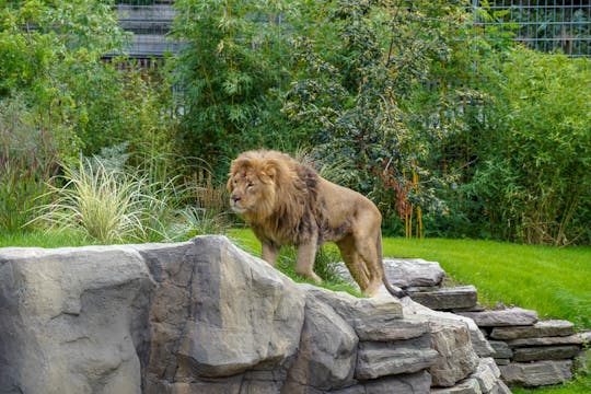 Cologne Zoo tickets with aquarium