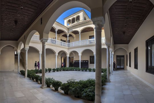 Museo Picasso Málaga entrance tickets