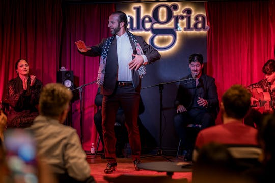 1-hour flamenco show at Malaga's Alegría