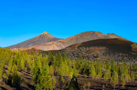 Teide National Park Tour with Local Guide