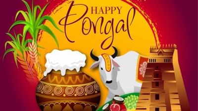 Spread cheer with these Pongal WhatsApp status ideas [2025]