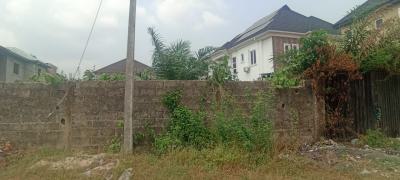 330sqm of Land, Goodnews Estate, Sangotedo, Ajah, Lagos, Residential Land for Sale