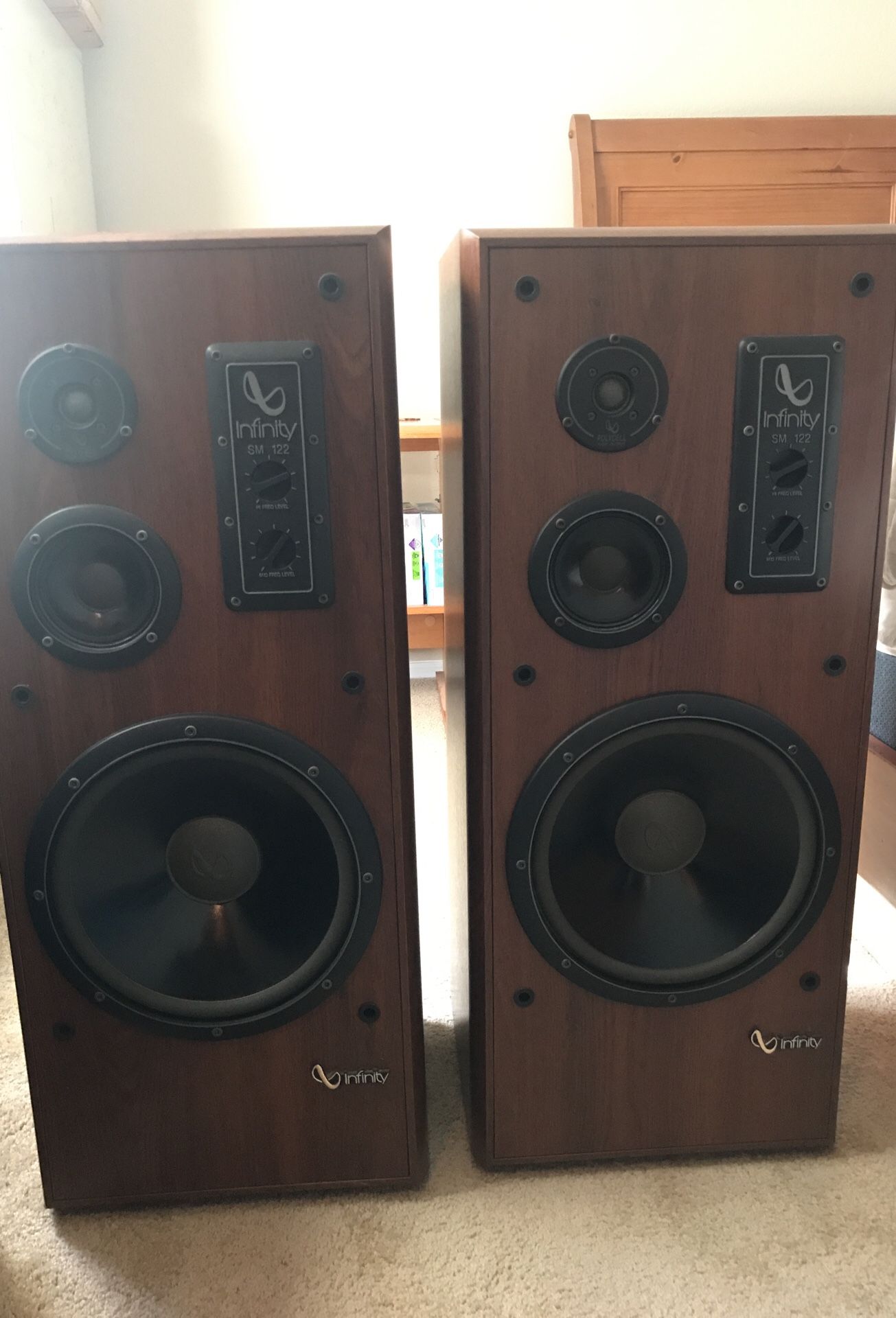 SM 122 Infinity monitor floor speakers, powerful speakers!!!