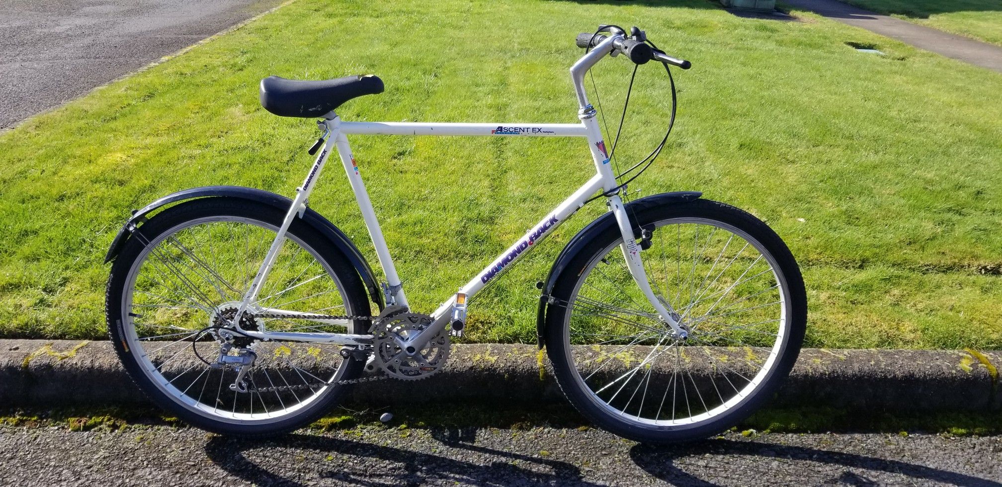 1988 Diamondback Ascent EX MTB Adventure Series Shimano SIS Tange ...