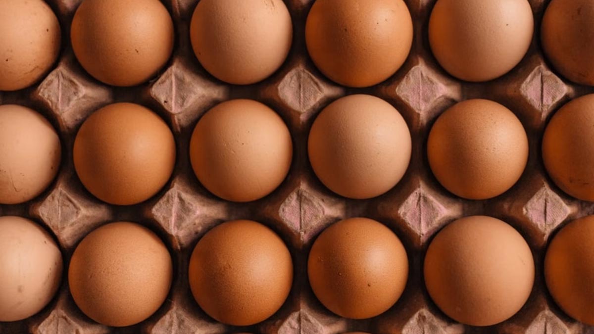 US FDA Issues Class 1 Recall For Costco Eggs Over Salmonella Contamination Risks