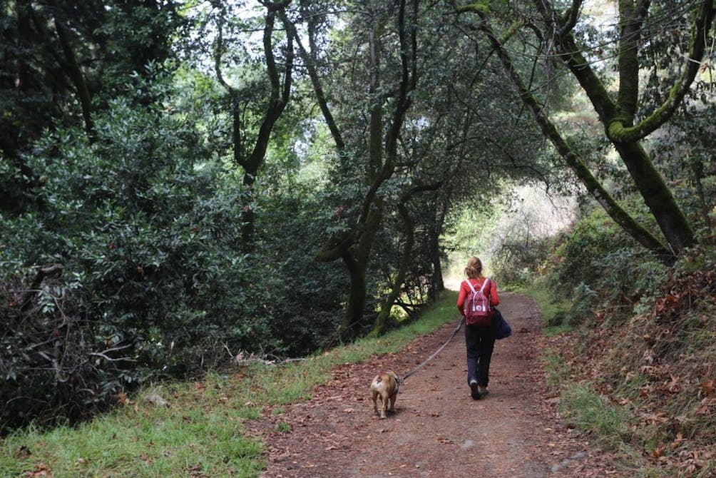 Hike Joaquin Miller Park in Oakland