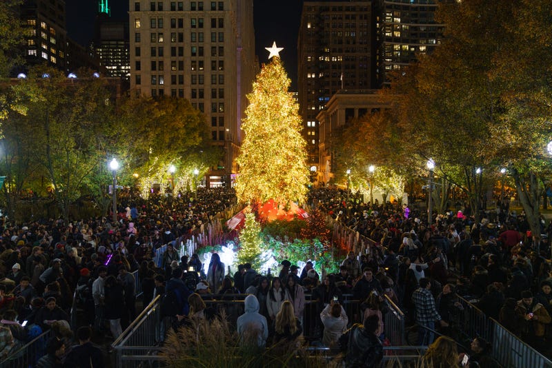 Chicago Christmas Tree