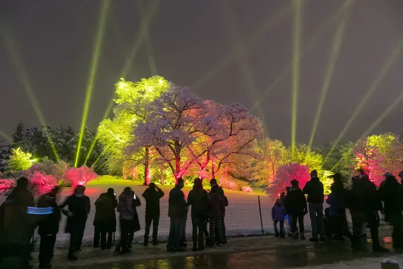 Morton Arboretum