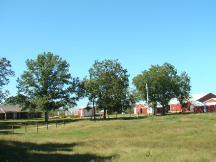 263 Acres, 2 Homes, Several Outbuildings,Fenced & Cross Fenced, Howell County