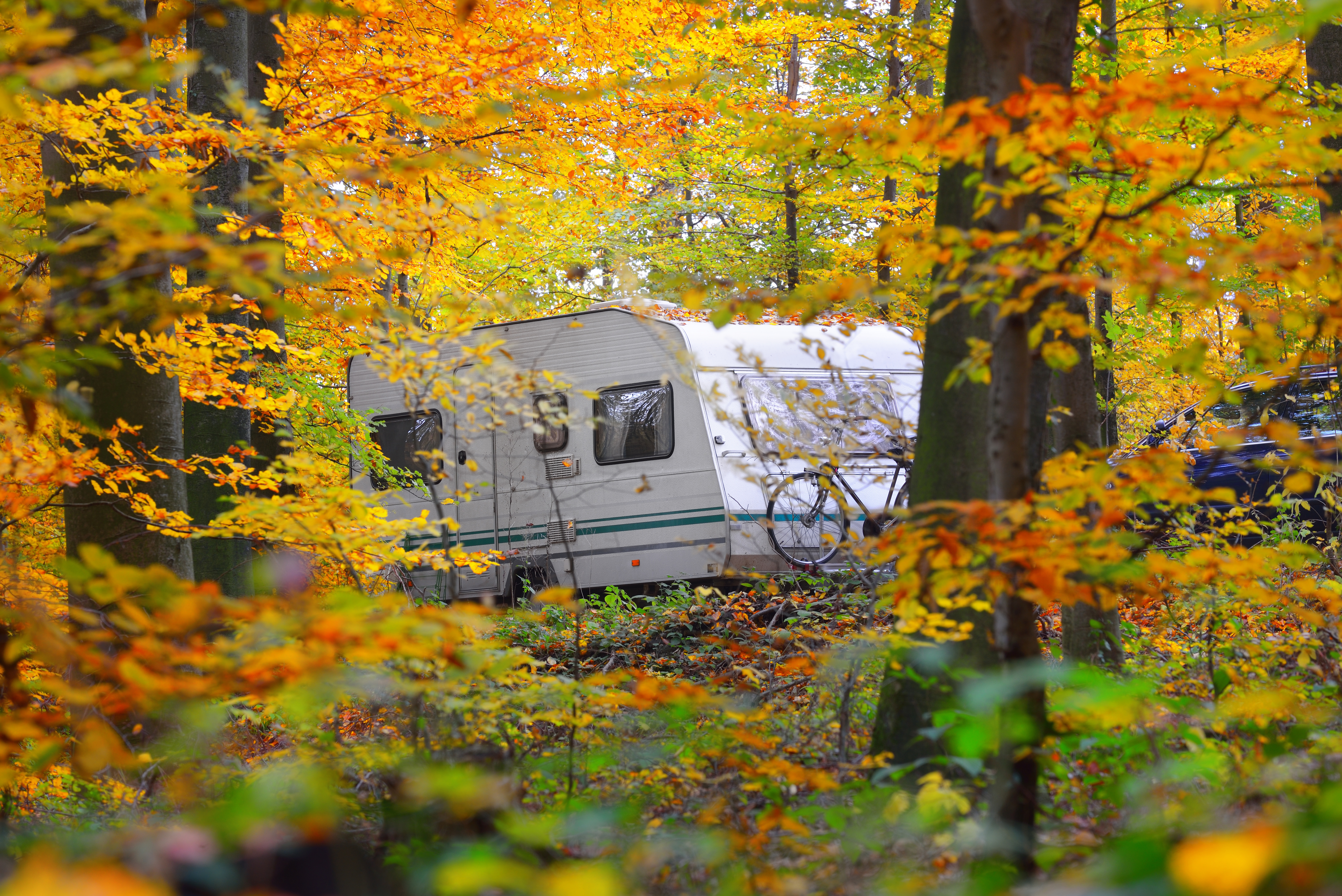 The RVer's Guide to Fall Family Camping