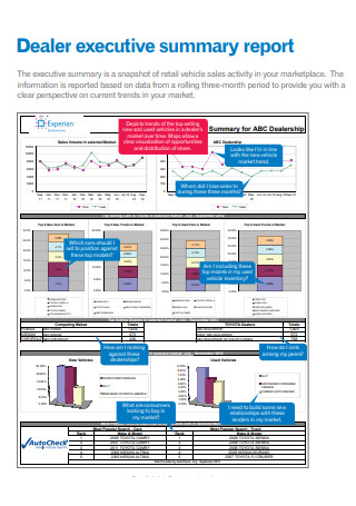 Sales Dealer executive summary report