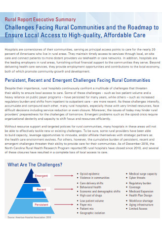 Rural Report Executive Summary