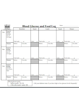 Blood Glucose and Food Log