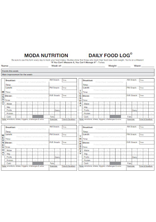 Daily Nutrition Food Log