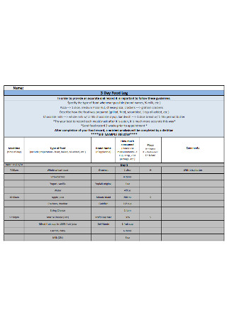 Three Day Food Log Template