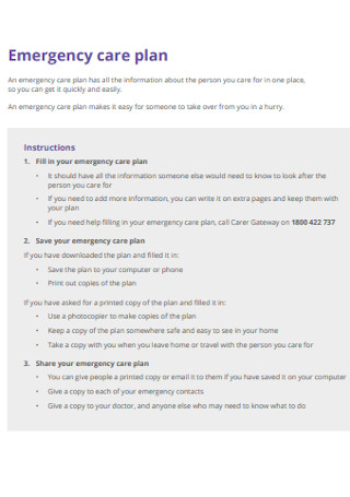 Emergency Care Plan Template