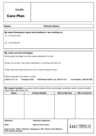 Health Care Plan Template