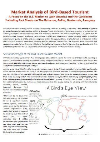 Market Analysis of Bird Based Tourism