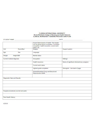 Nursing Process Care Plan Template