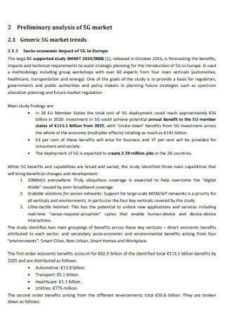 Preliminary Market Analysiis Template