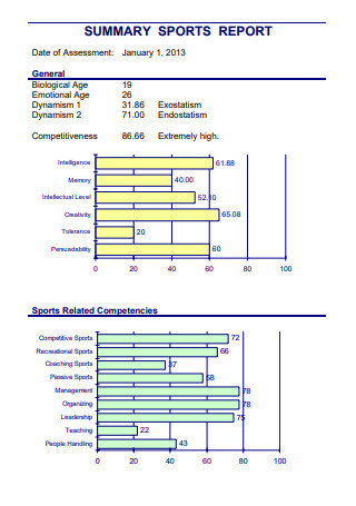 Summary Sports Report