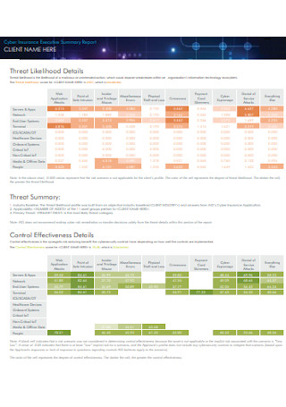 Cyber Insurance Executive Summary Report